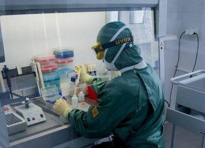 دستیابی محققان به روشی برای تصفیه خون از کروناویروس