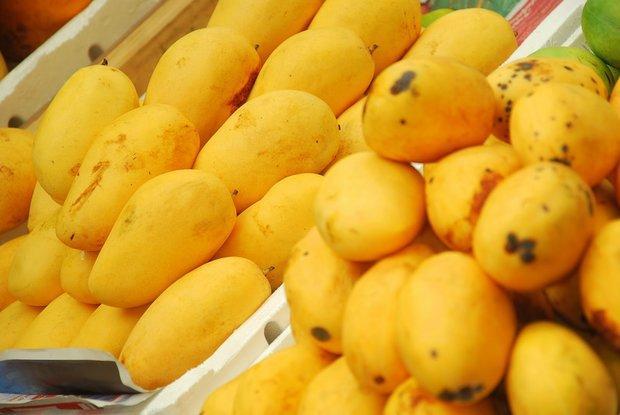 مصرف انبه موجب تسکین بیماری التهاب روده می شود مصرف انبه موجب تسکین بیماری التهاب روده می گردد
