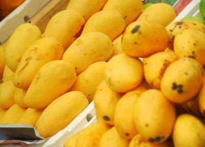 مصرف انبه موجب تسکین بیماری التهاب روده می گردد