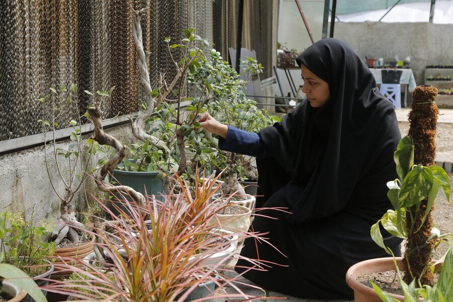 ویزیت گیاهان بیمار در کلینیک گل و گیاه سی بویه