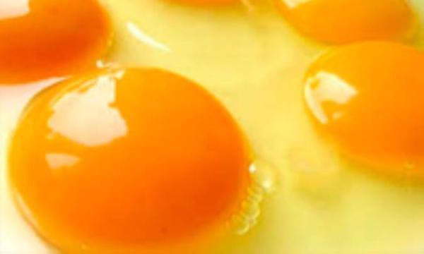 زرده تخم مرغ برای موها