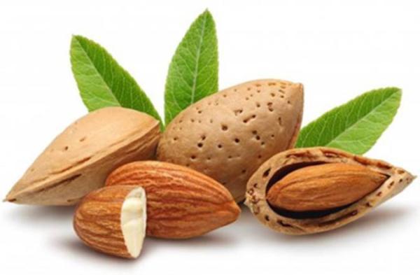 چقدر بادام بخوریم تا قلبی سالم داشته باشیم؟ چقدر بادام بخوریم تا قلبی سالم داشته باشیم؟