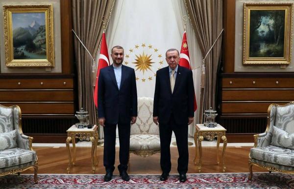 امیرعبداللهیان با اردوغان دیدار کرد امیرعبداللهیان با اردوغان ملاقات کرد