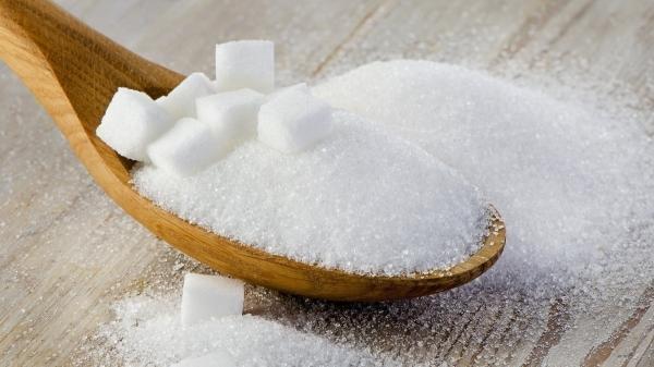 برترین جایگزین های شکر برای دسر، شیرین کننده های طبیعی را بشناسید