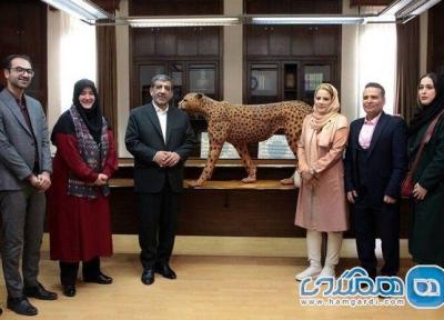 مجسمه چوبی یوزپلنگ ایرانی در ابعاد واقعی رونمایی شد