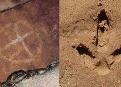 کشف سنگ نگاره های باستانی از انسان های ماقبل تاریخ در کنار ردپای دایناسورها
